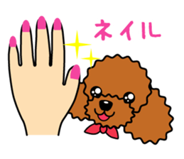 toy-poodle-Sticker sticker #15655779