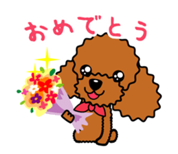 toy-poodle-Sticker sticker #15655780