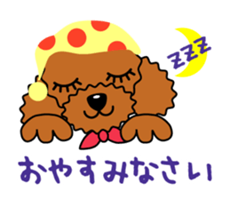 toy-poodle-Sticker sticker #15655783