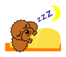 toy-poodle-Sticker sticker #15655784