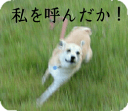 Qootan's happy stickers sticker #15655987