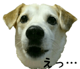 Qootan's happy stickers sticker #15655994