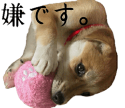 Qootan's happy stickers sticker #15655998