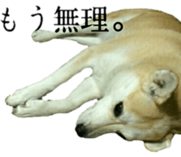 Qootan's happy stickers sticker #15655999