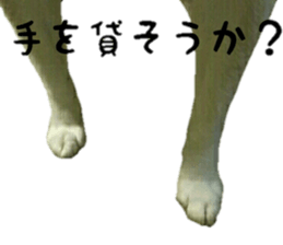 Qootan's happy stickers sticker #15656000