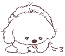 My sweet bichon frise sticker #15658948