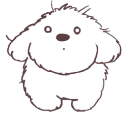 My sweet bichon frise sticker #15658949