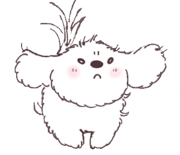 My sweet bichon frise sticker #15658950