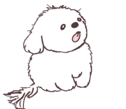 My sweet bichon frise sticker #15658951