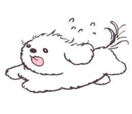 My sweet bichon frise sticker #15658960