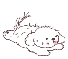 My sweet bichon frise sticker #15658961