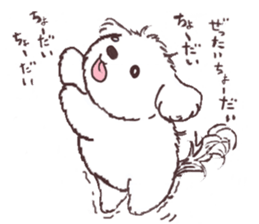 My sweet bichon frise sticker #15658962