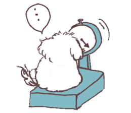 My sweet bichon frise sticker #15658964
