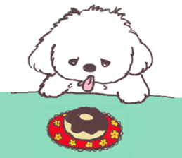 My sweet bichon frise sticker #15658965