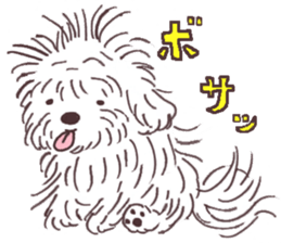 My sweet bichon frise sticker #15658966