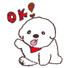 My sweet bichon frise sticker #15658968