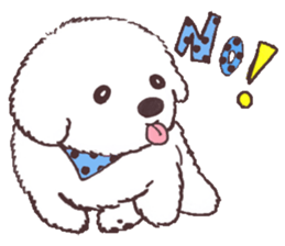 My sweet bichon frise sticker #15658969