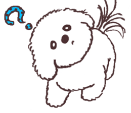 My sweet bichon frise sticker #15658973