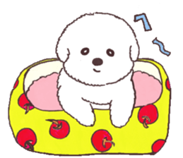 My sweet bichon frise sticker #15658976
