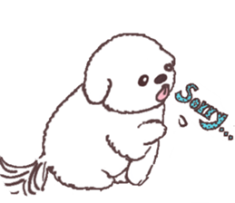 My sweet bichon frise sticker #15658981