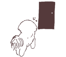 My sweet bichon frise sticker #15658982