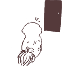 My sweet bichon frise sticker #15658983
