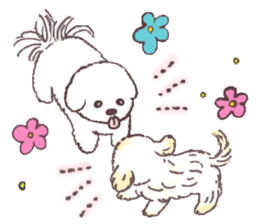 My sweet bichon frise sticker #15658984