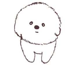 My sweet bichon frise sticker #15658985