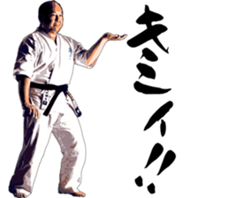 Legendary karate master Mas Oyama Vol.1 sticker #15659091