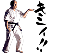 Legendary karate master Mas Oyama Vol.1 sticker #15659091
