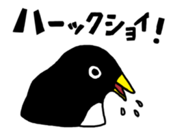 Physical condition poor penguins sticker #15659802