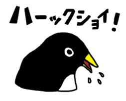Physical condition poor penguins sticker #15659802