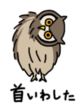 Physical condition poor penguins sticker #15659812