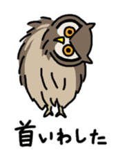 Physical condition poor penguins sticker #15659812