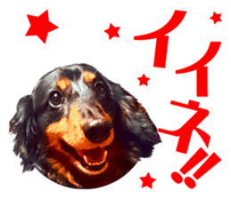 dog06910 sticker #15659875