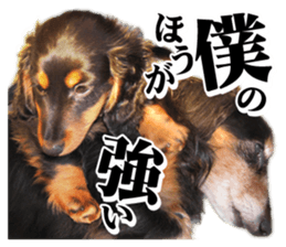 dog06910 sticker #15659880