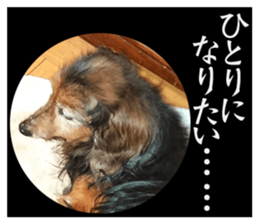 dog06910 sticker #15659881