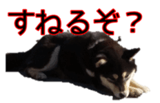 Japanese Dog Black Shiba Inu Koko By Maku Sticker Japanese Dog Black Shiba Inu Koko By Maku Sticker