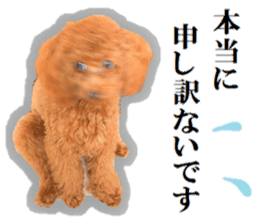 Toy Poodle Lion 5 sticker #15664188