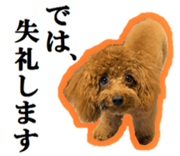 Toy Poodle Lion 5 sticker #15664201