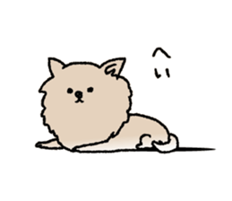 sticker family ~from chihuahua sticker #15664693