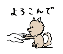 sticker family ~from chihuahua sticker #15664697