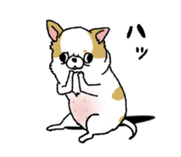 sticker family ~from chihuahua sticker #15664712