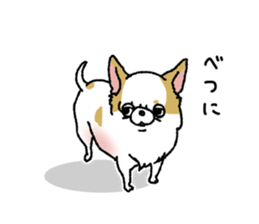 sticker family ~from chihuahua sticker #15664720
