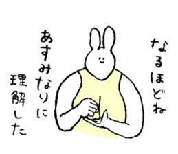 Rabbit in turtle shell's name is Asumi sticker #15667736