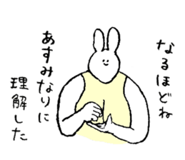 Rabbit in turtle shell's name is Asumi sticker #15667736