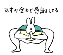 Rabbit in turtle shell's name is Asumi sticker #15667748