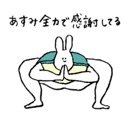 Rabbit in turtle shell's name is Asumi sticker #15667748