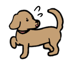 Pretty dogs sticker sticker #15668030