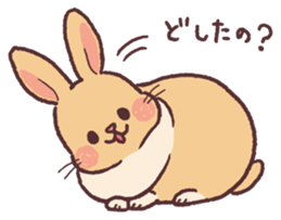 Netherland Dwarf sticker #15669136